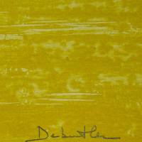 杰奎琳·黛比特勒 Jacqueline Debutler 无题